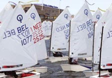 International Optispring Regatta